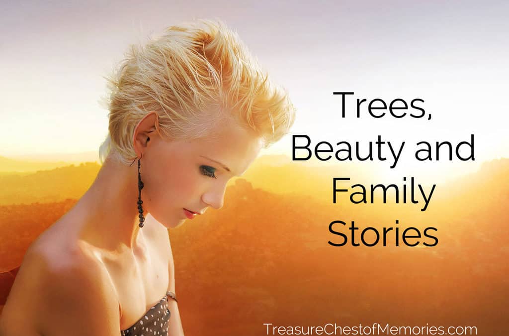 Of Trees, Beauty and Family Stories
